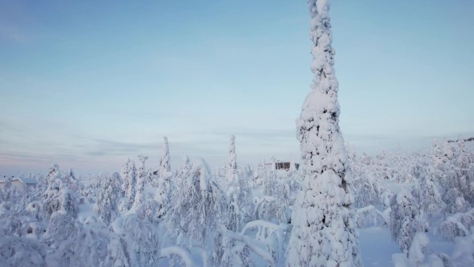 在芬兰北极圈拉普兰的雪景中，无人机在树木之间飞行