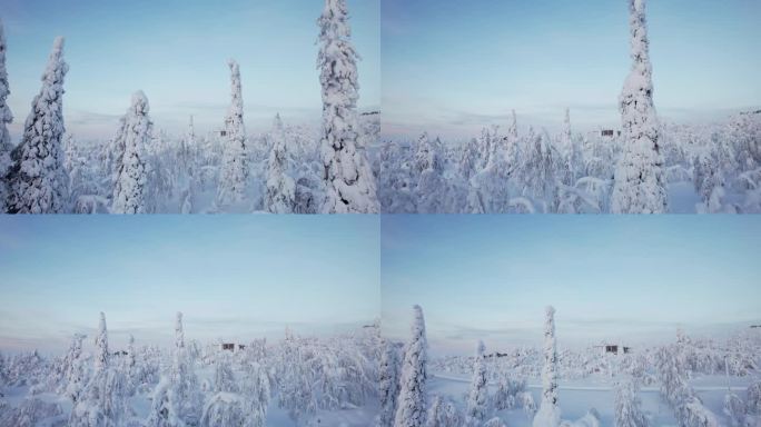 在芬兰北极圈拉普兰的雪景中，无人机在树木之间飞行