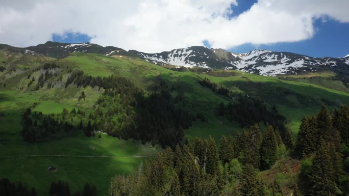 绿色的阿尔卑斯山乡村在欧洲，法国，朝博福特，在阿尔卑斯山，在夏天，在一个阳光明媚的日子。