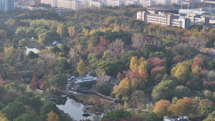 下沙主题公园 秋天大学城  城市包围公园