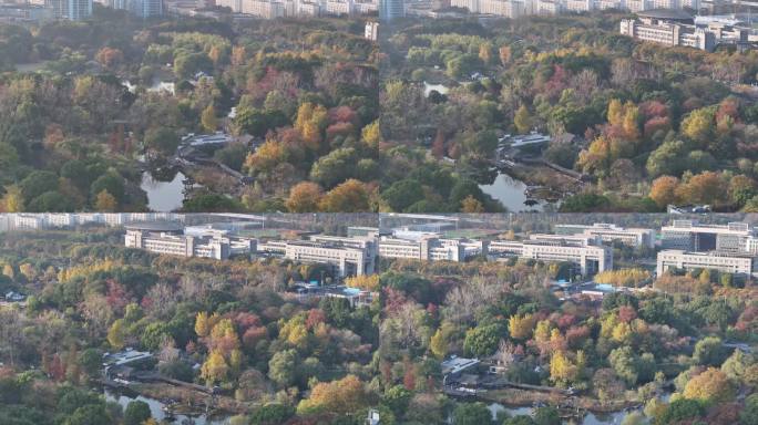 下沙主题公园 秋天大学城  城市包围公园