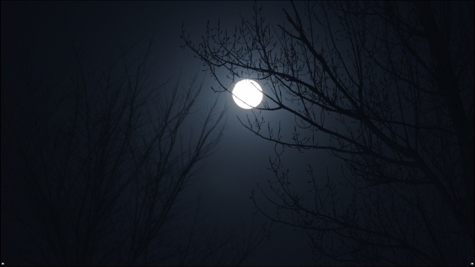 月亮 小区月亮 弯月 圆月