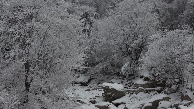 陕西西安秦岭山脉多云云海大气雪景雾凇江山