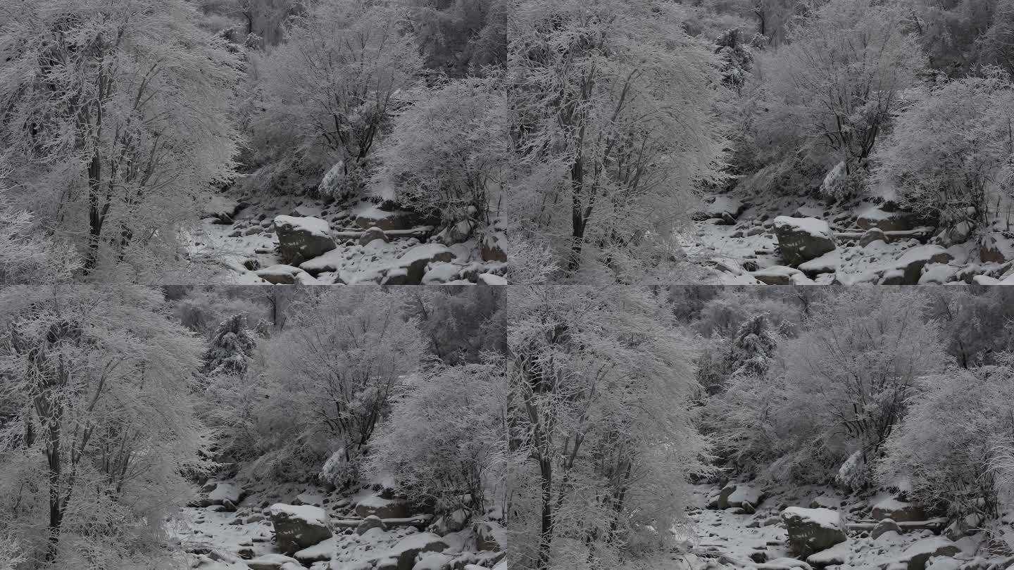 陕西西安秦岭山脉多云云海大气雪景雾凇江山