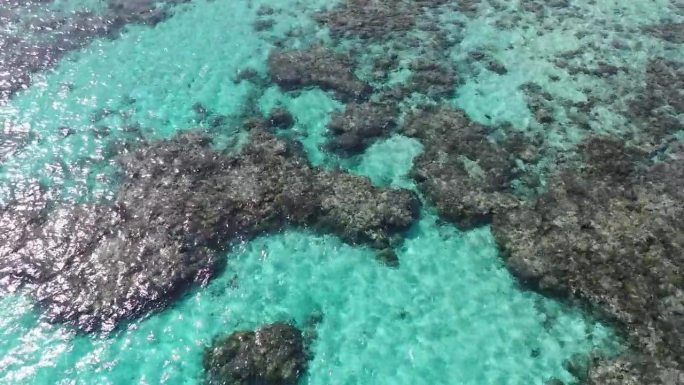 45度航拍红海珊瑚