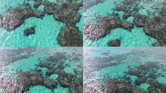 45度航拍红海珊瑚