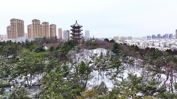青岛李村公园雪景航拍4k