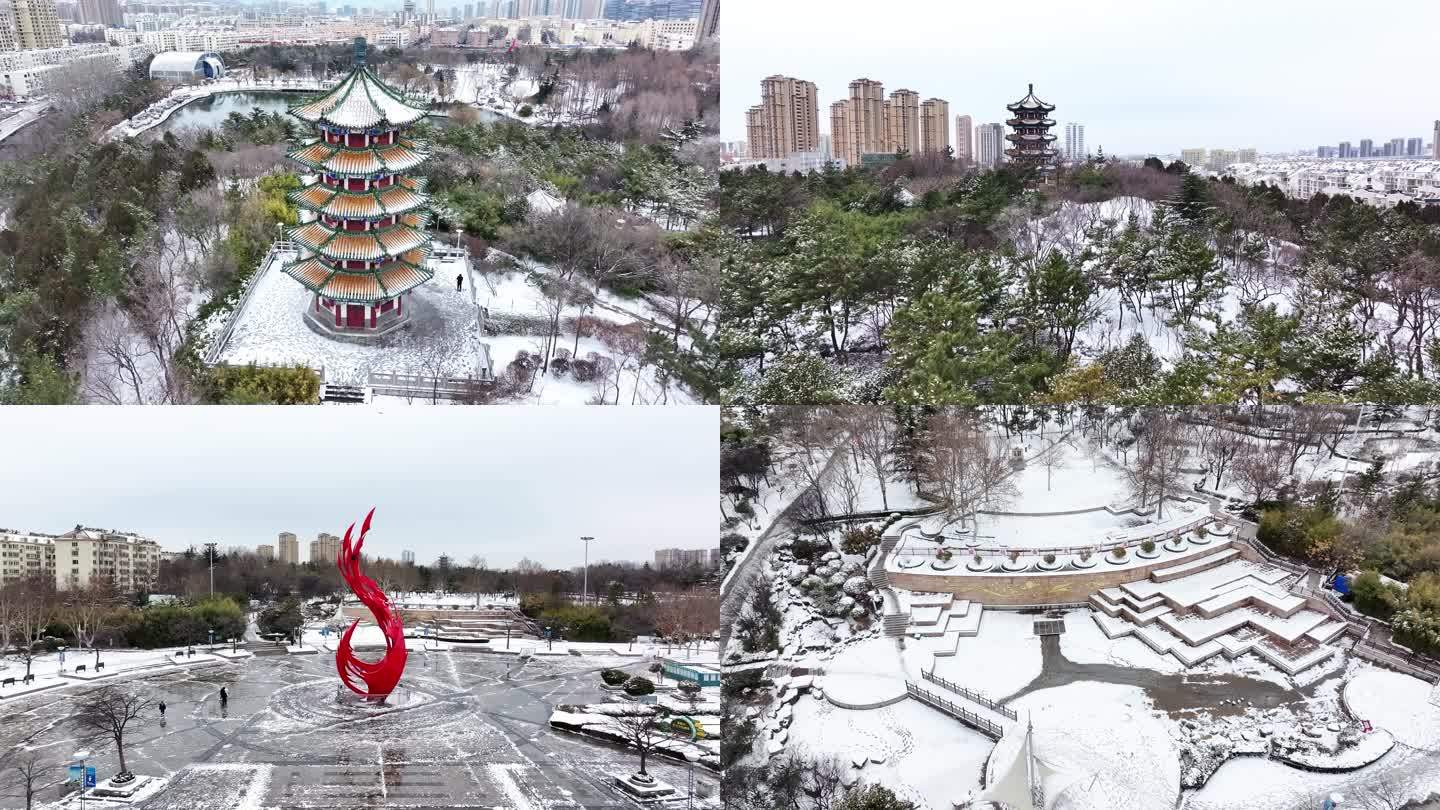 青岛李村公园雪景航拍4k