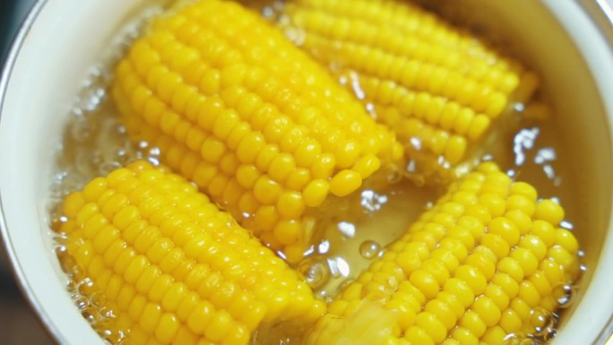 在没有水龙头的开锅里用沸水煮黄玉米棒。最受欢迎的每日膳食纤维来源
