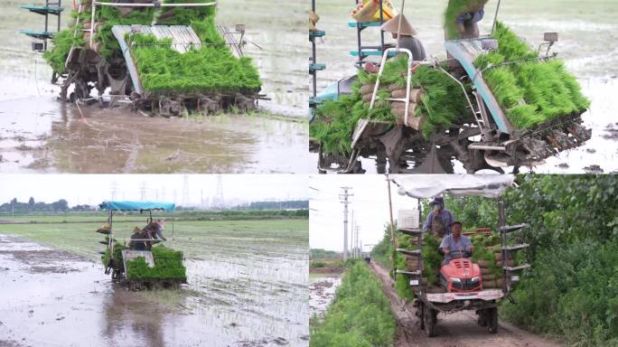 水稻种植及机器行驶视频
