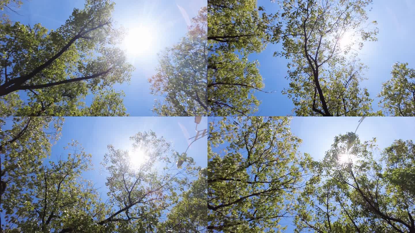 夏天阳光穿过树林树叶自然风景视频素材3