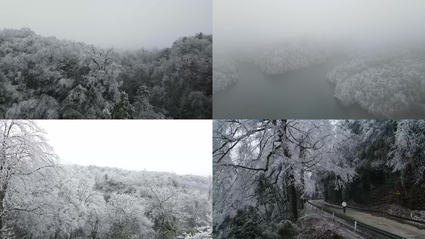 原始森林雪景冰天雪地场景大气磅礴冰雪世界