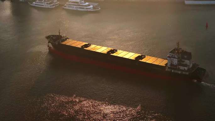 清晨的大船在黄浦江上驶过 金色阳光日出