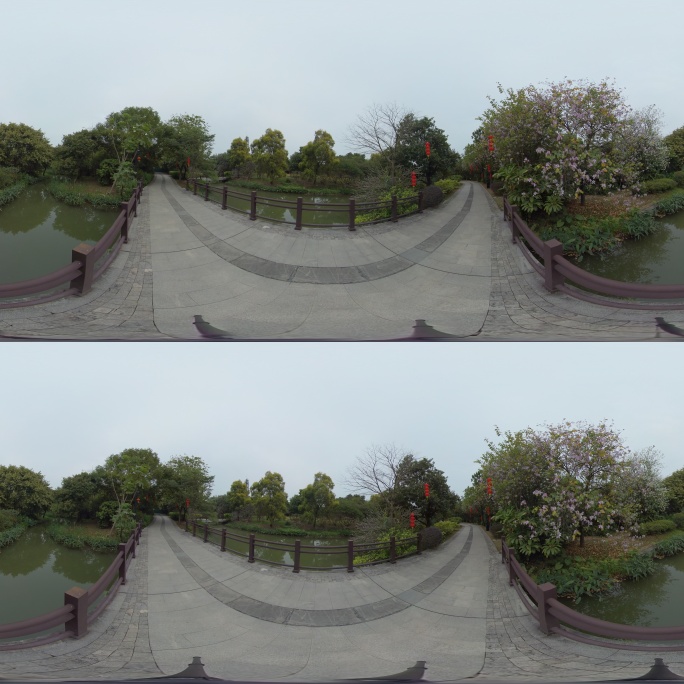 立体VR全景海珠湖湿地公园内