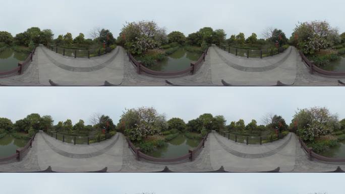 立体VR全景海珠湖湿地公园内