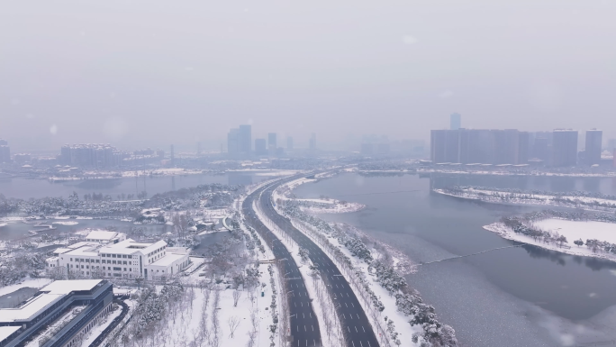 武汉金银湖湿地公园雪景高清4K航拍素材