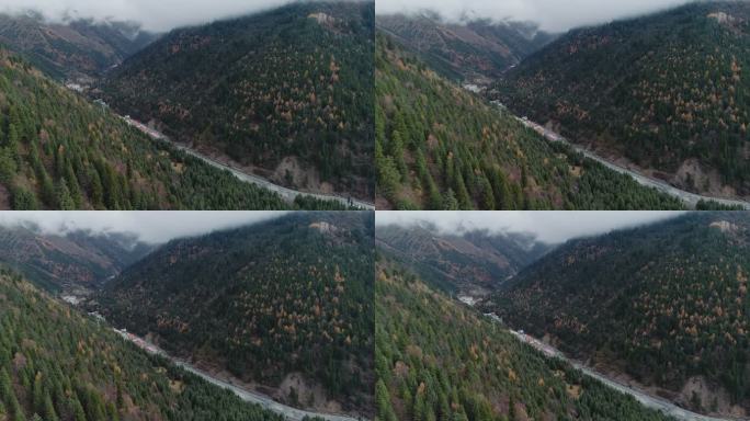 川西秋林山谷航拍