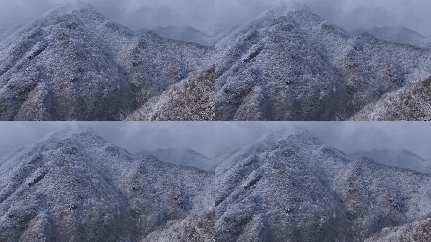 陕西西安秦岭山脉多云云海大气雪景雾凇江山