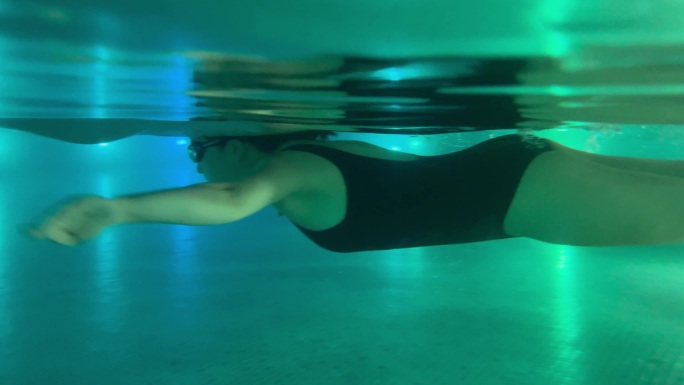 不同类型的水下游泳动态视频