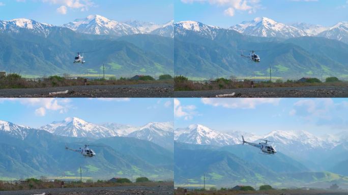 新西兰凯库拉观鲸直升机