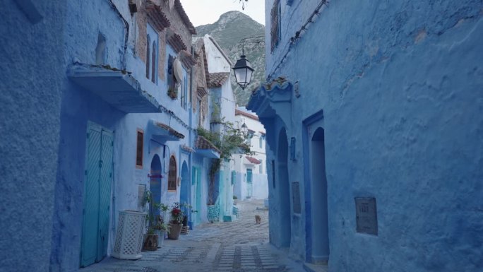 Chefchaouen，摩洛哥西北部Rif山脉中的蓝珍珠城