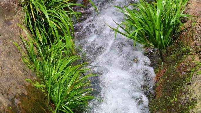 河边流水河流河水小溪山泉泉水流体液体水流