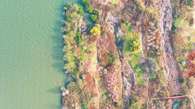 初春时节时的昆明星海半岛湿地公园