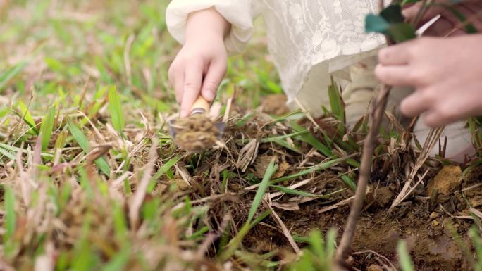 小女孩用铲子在花园里种幼苗