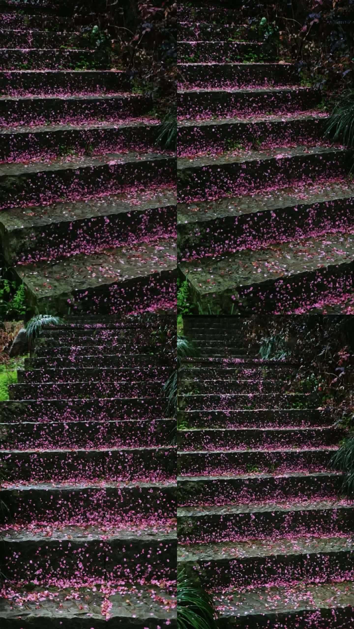 花瓣台阶