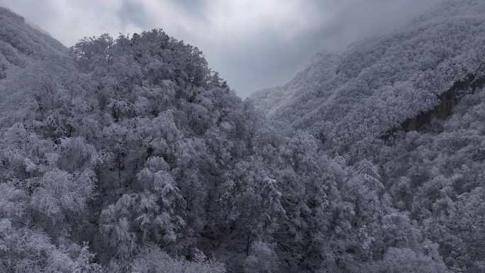 陕西西安秦岭山脉多云云海大气雪景雾凇江山