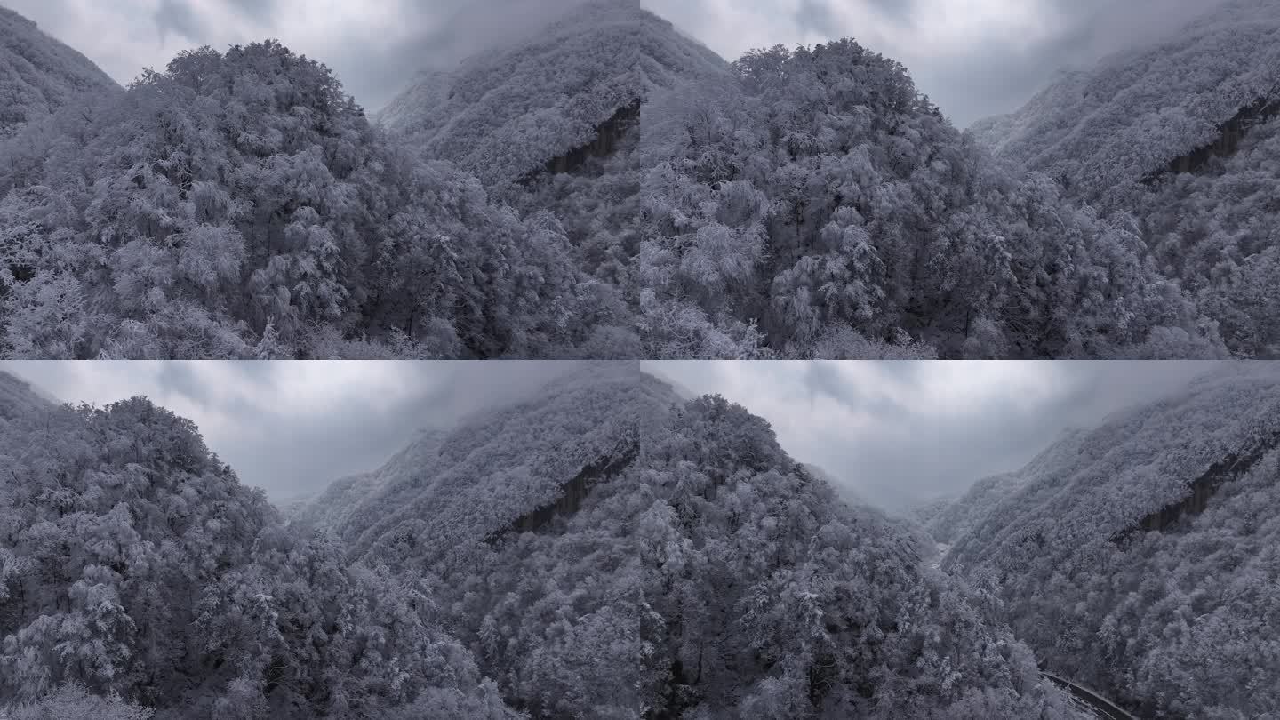 陕西西安秦岭山脉多云云海大气雪景雾凇江山