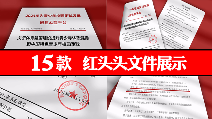 红头文件15款-【中国红背景】