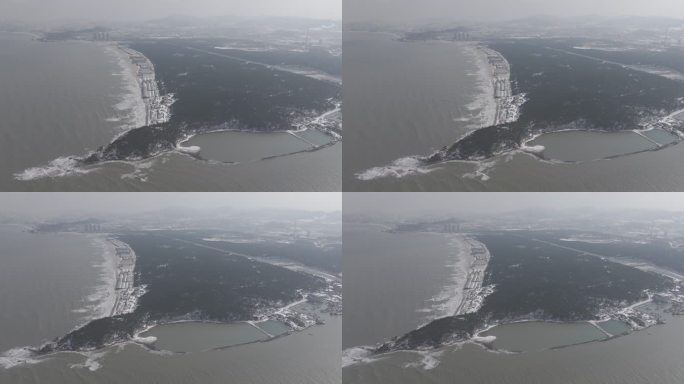 航拍俯瞰威海双岛湾帽角冬季雪景海岸防护林