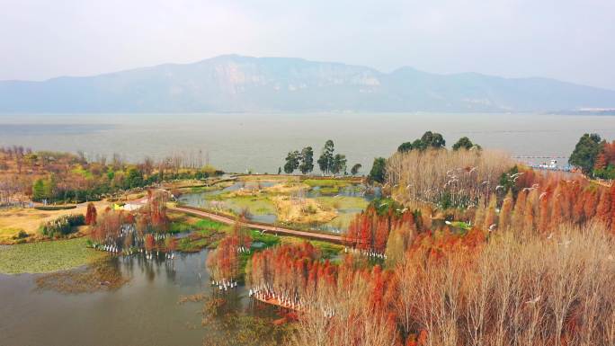 初春时节时的昆明星海半岛湿地公园