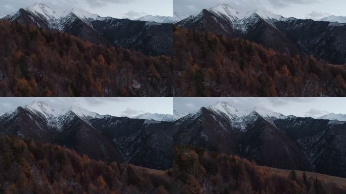 川西秋林雪山航拍风景