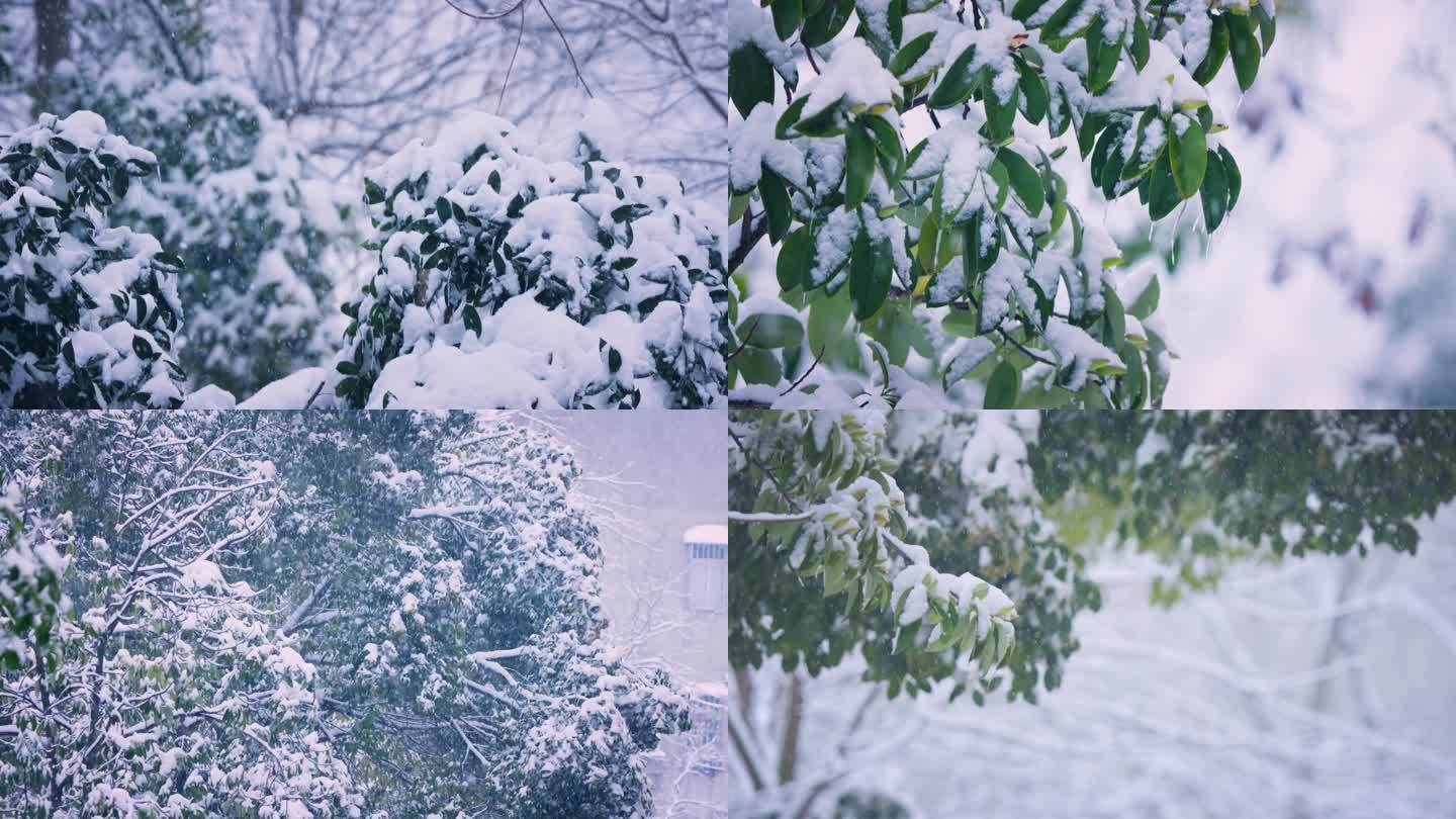 4K暴雪天气03