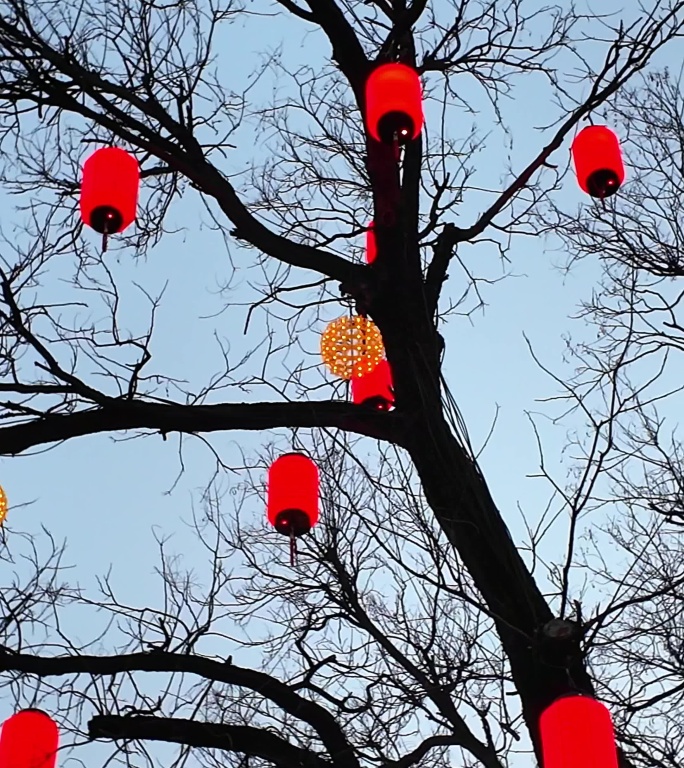 北京胡同新年红灯笼