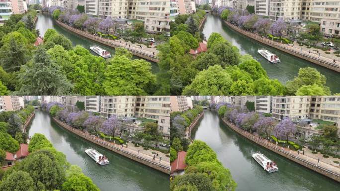 昆明盘龙江河道蓝花楹航拍视频