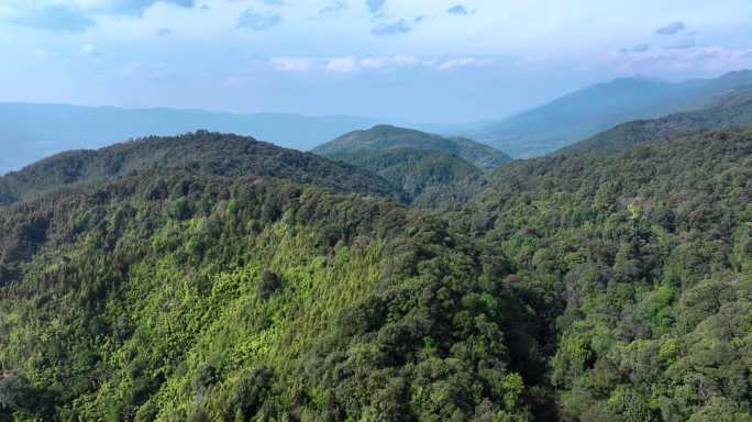 高黎贡山