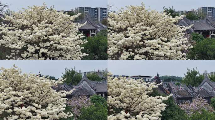 中国广东省广州市番禺区南村镇余荫山房