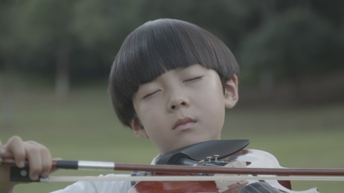 自然拉小提琴男孩演奏儿童艺术