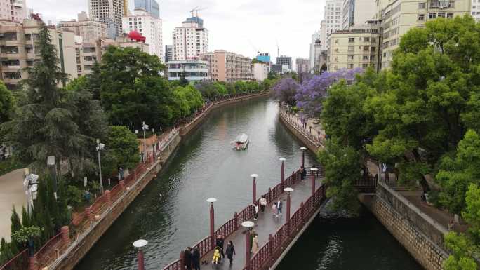 昆明盘龙江河道蓝花楹航拍视频