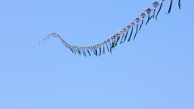 放风筝花朵草地风景春天夏天4K超清