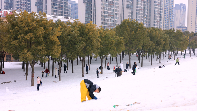 荆州雪景 滑雪玩雪 荆江大堤滑雪
