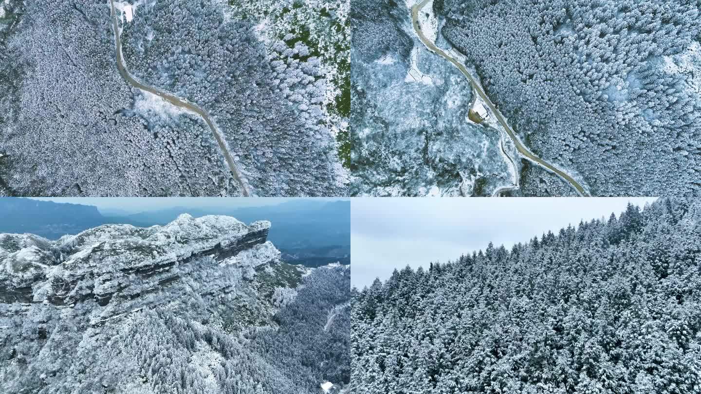 武隆仙女山雪山森林冬至大雪宣传片