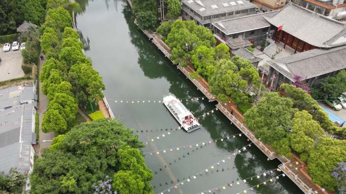 昆明盘龙江河道蓝花楹航拍视频