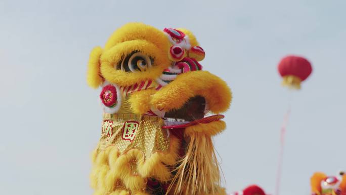 舞狮 南狮 耍狮子 南方舞狮 醒狮