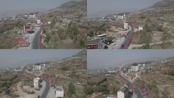 汉源县九襄镇梨花大道梨花