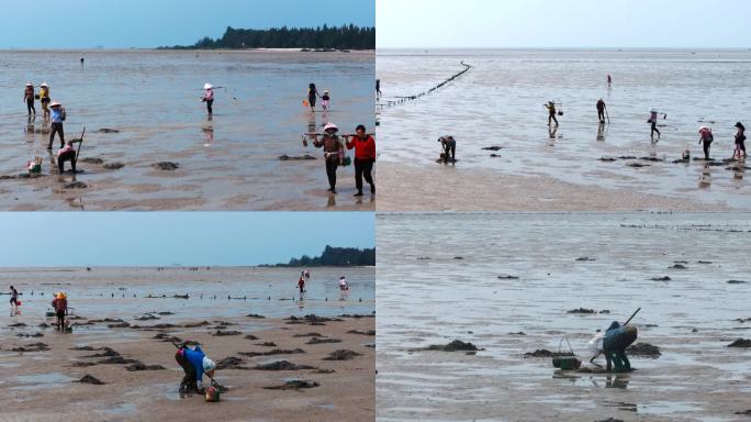 渔民赶海 挖沙虫 广西生活方式 海滩