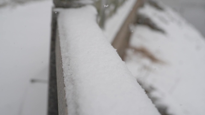 冬天下雪雪景小雪中雪大雪雪花飘落舞台背景